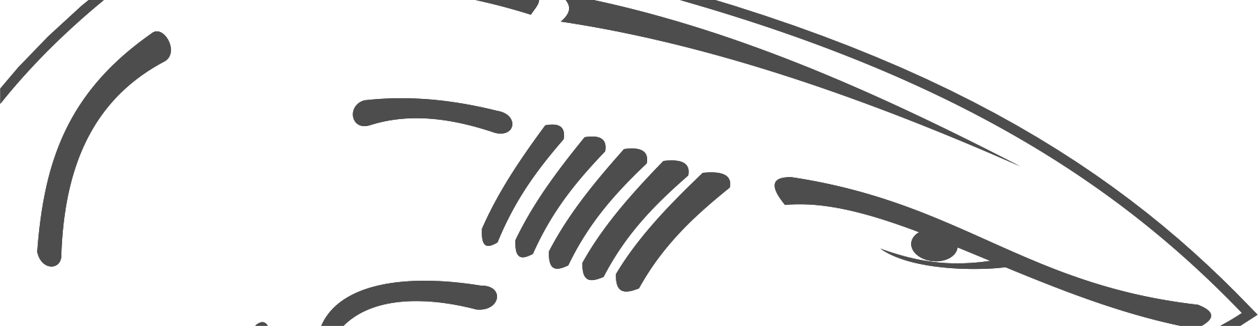 Black Shark Header Image